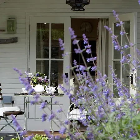 Bed & Breakfast Beechmount Country House